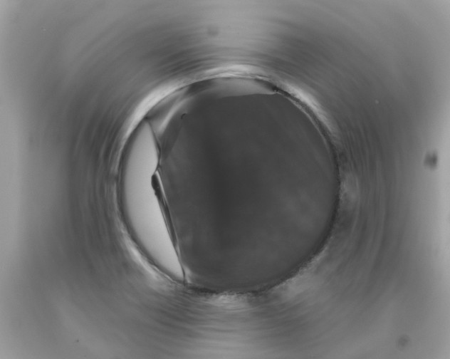 X0000091081418200709041231