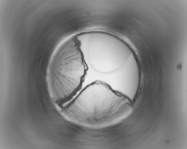 X0000091081421200709041231