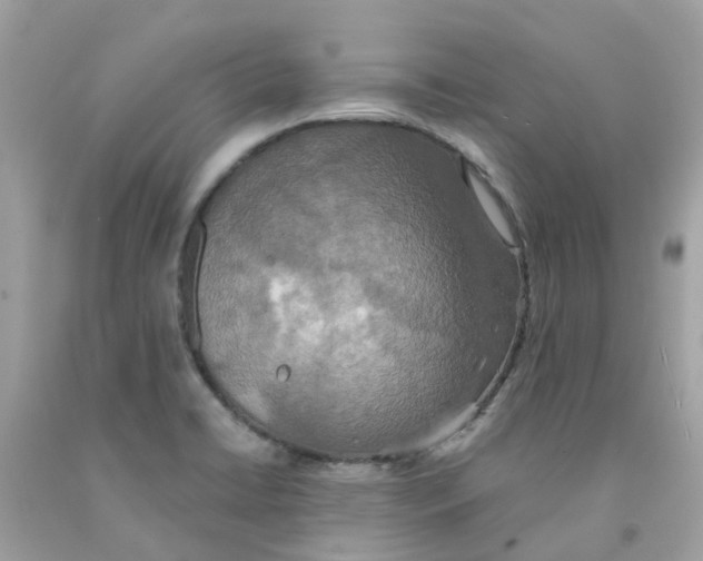 X0000091081422200709041231