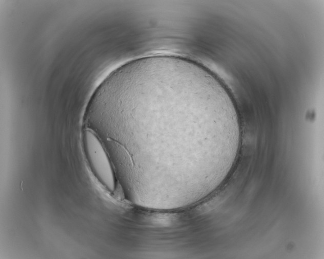 X0000091081423200709041231