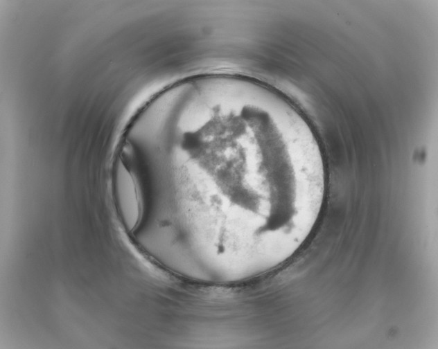 X0000091081424200709041231