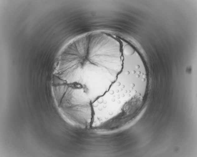 X0000091081425200709041231