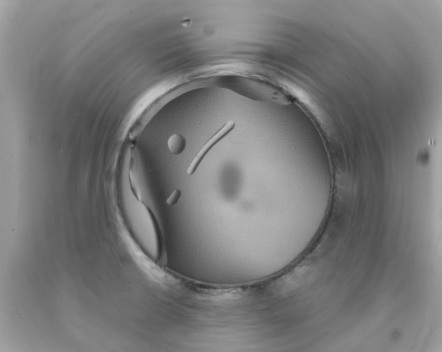 X0000091081426200709041231