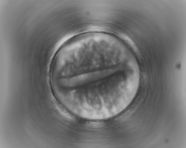 X0000091081427200709041231