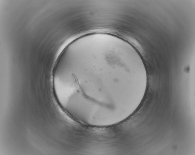 X0000091081428200709041231