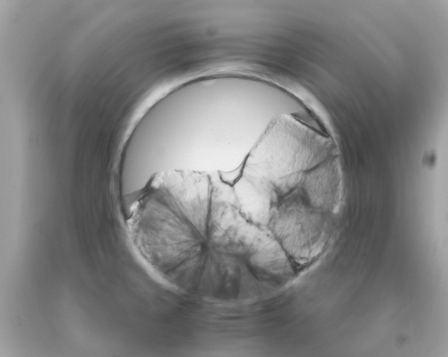 X0000091081429200709041231