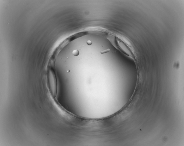 X0000091081430200709041231