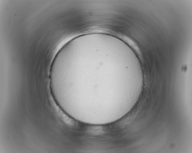 X0000091081431200709041231