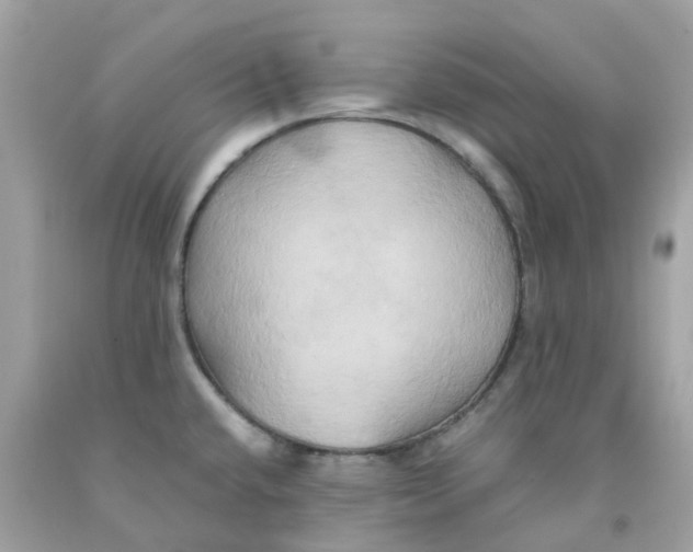 X0000091081432200709041231