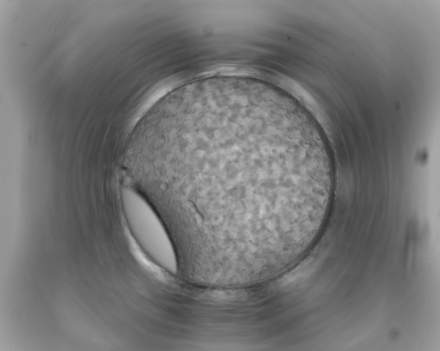 X0000091081433200709041231