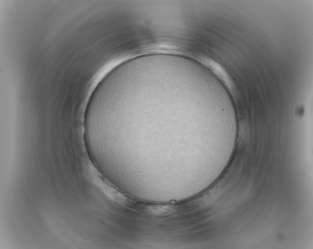 X0000091081435200709041231