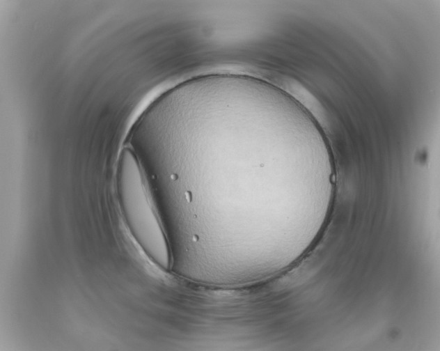 X0000091081436200709041231