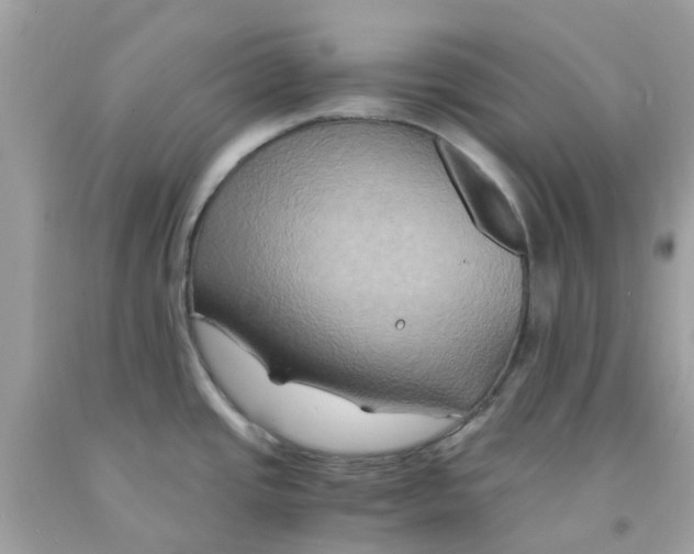 X0000091081437200709041231