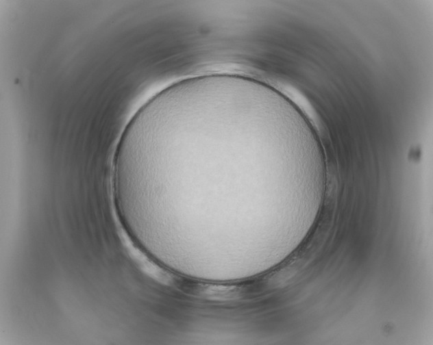 X0000091081439200709041231