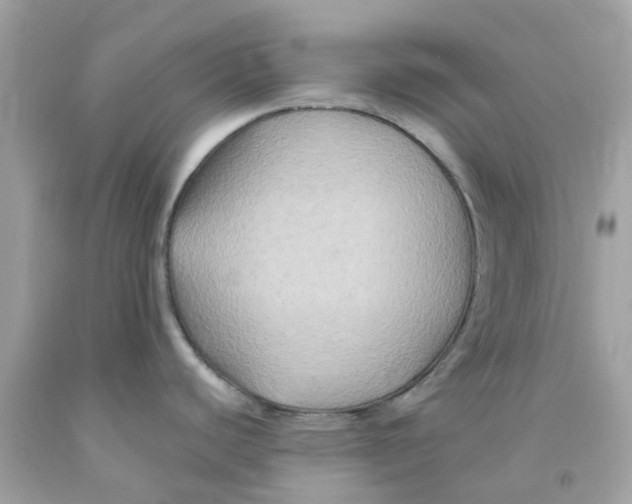 X0000091081440200709041231