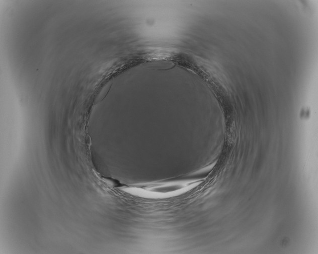 X0000091081441200709041230