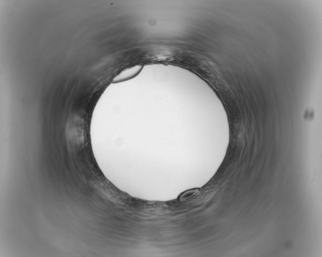 X0000091081442200709041230