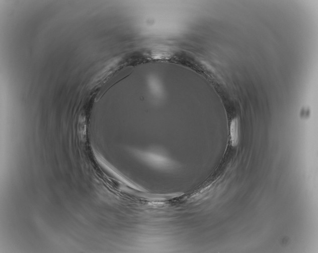 X0000091081443200709041230