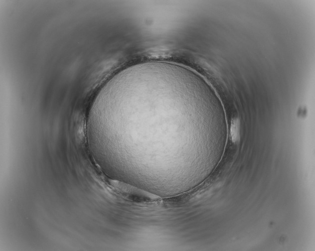 X0000091081444200709041230