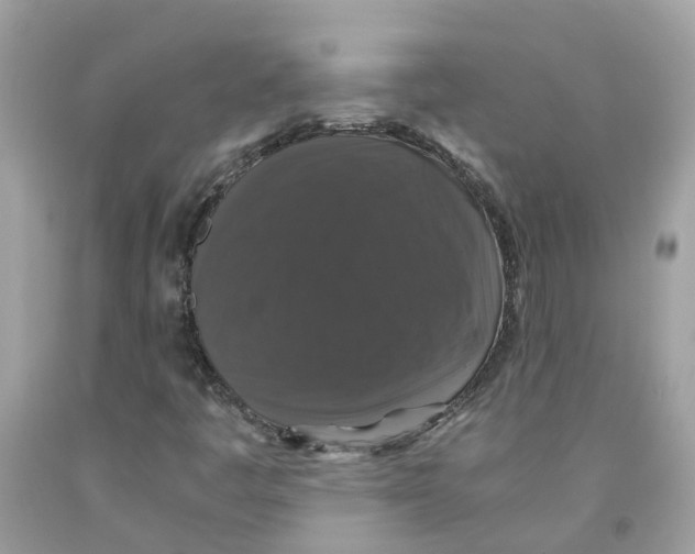 X0000091081445200709041230