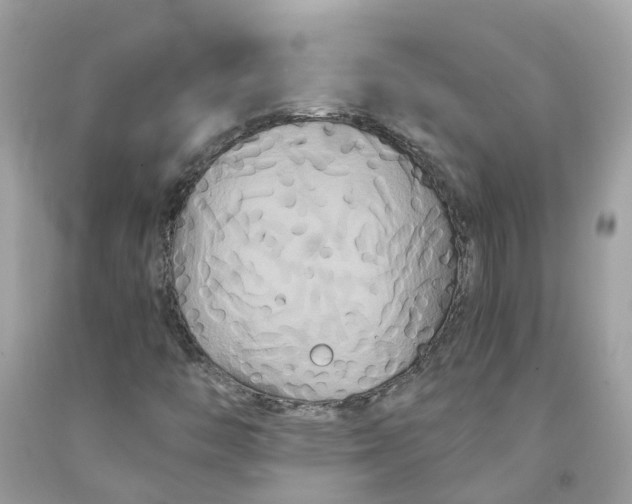 X0000091081446200709041230