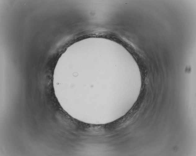 X0000091081447200709041230