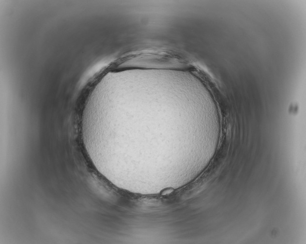 X0000091081448200709041230