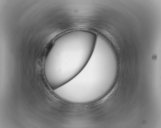 X0000091081449200709041230