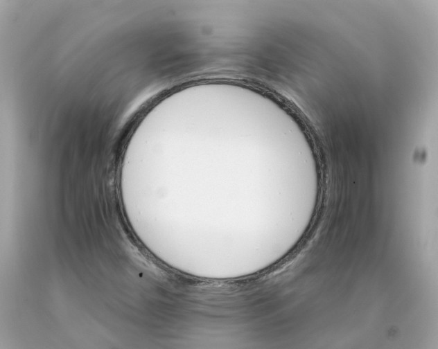 X0000091081450200709041230