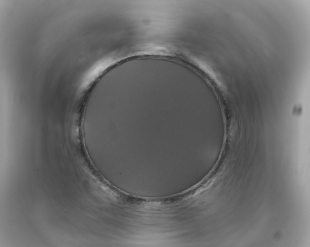 X0000091081455200709041230