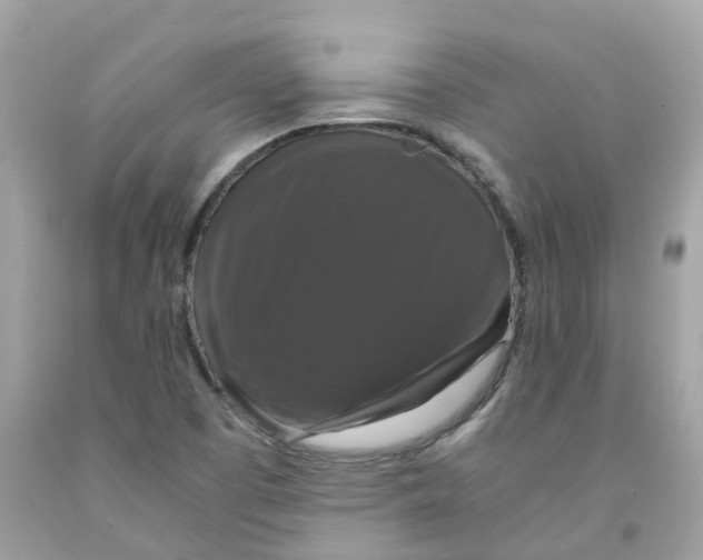 X0000091081457200709041230