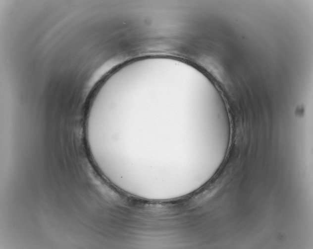 X0000091081458200709041230