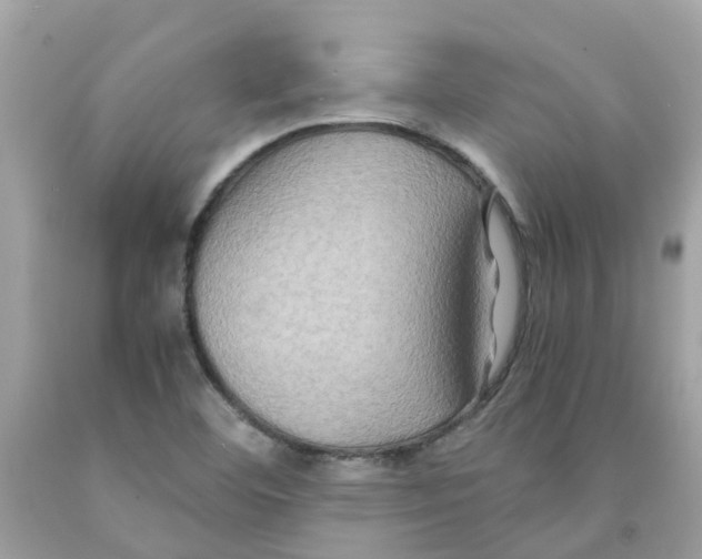 X0000091081460200709041230