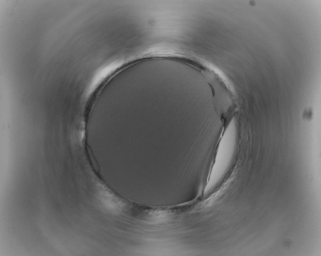 X0000091081461200709041230