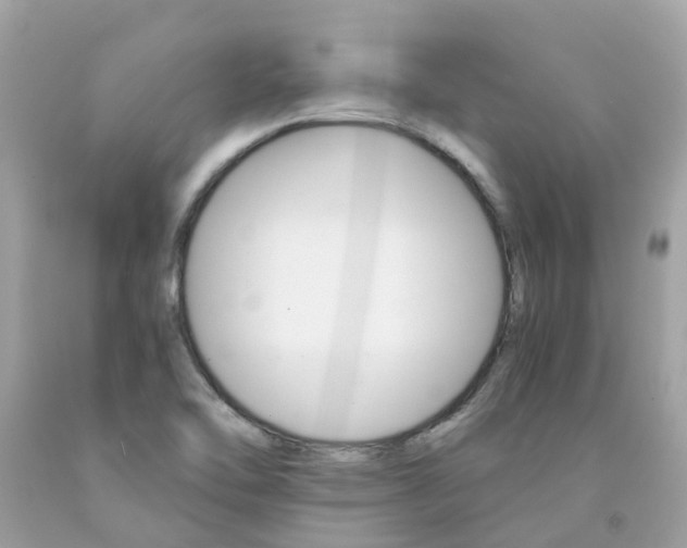 X0000091081462200709041230