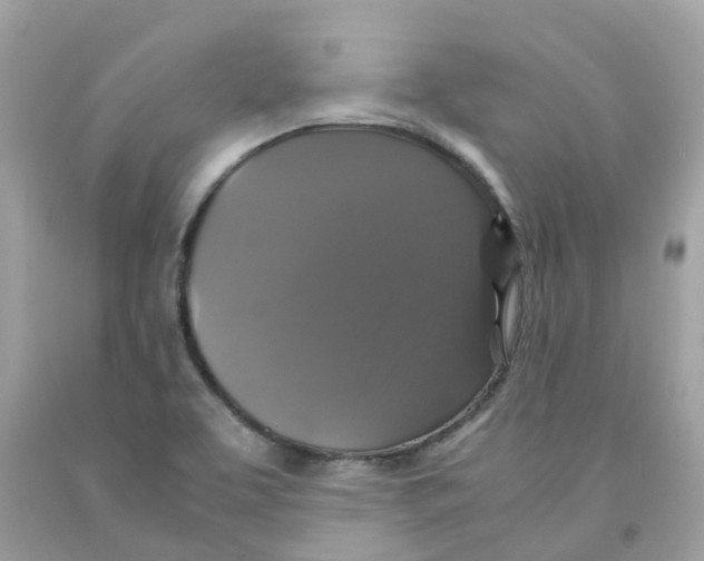 X0000091081463200709041230