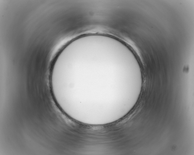 X0000091081464200709041230