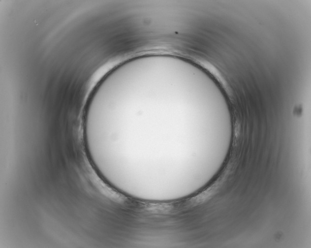 X0000091081466200709041230