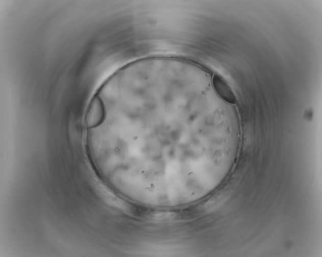 X0000091081467200709041230