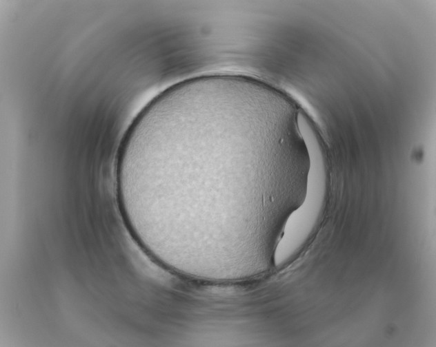 X0000091081468200709041230