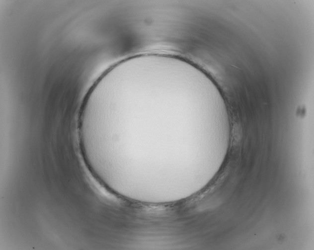 X0000091081470200709041230