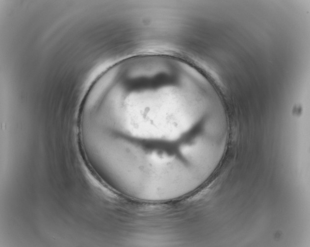 X0000091081471200709041230