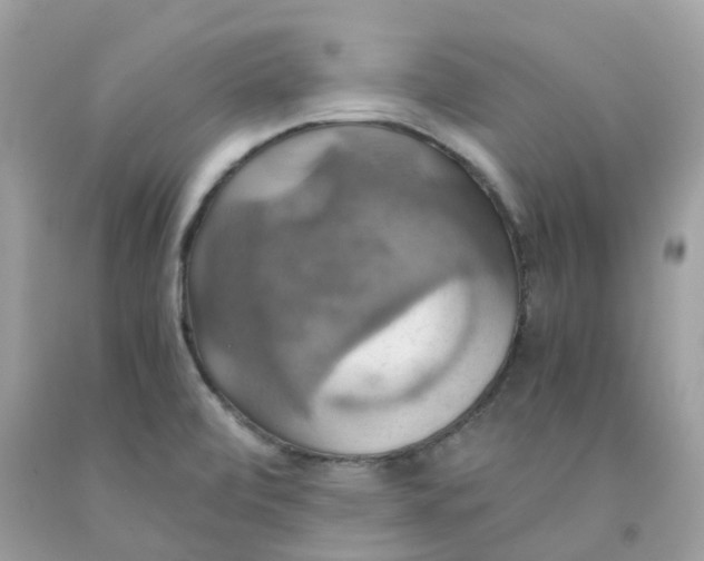 X0000091081472200709041230