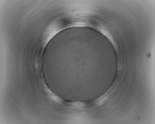 X0000091081473200709041230