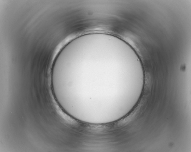 X0000091081474200709041230