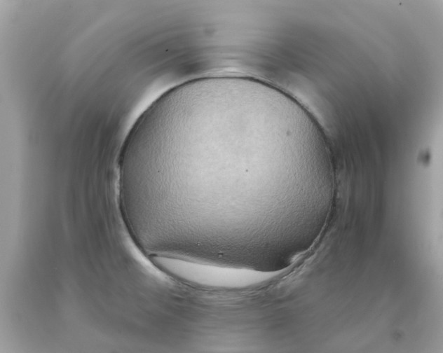 X0000091081476200709041230