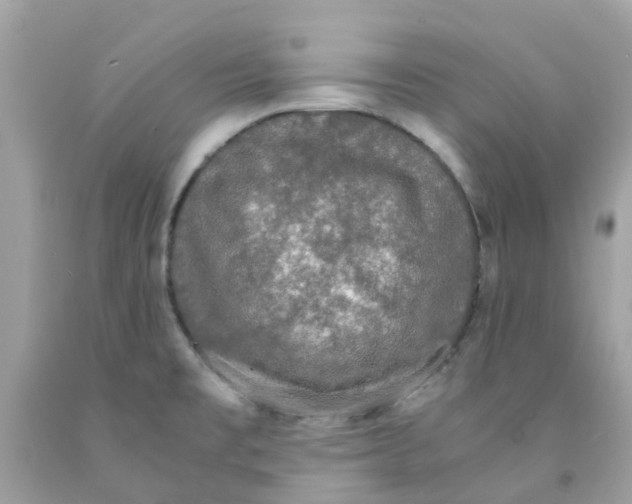 X0000091081477200709041230