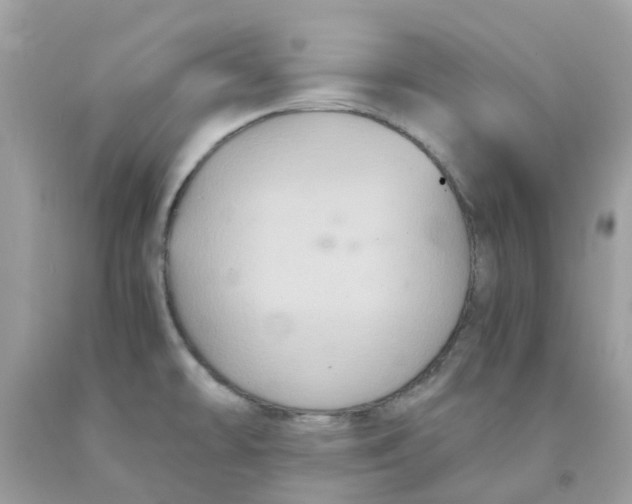 X0000091081478200709041230