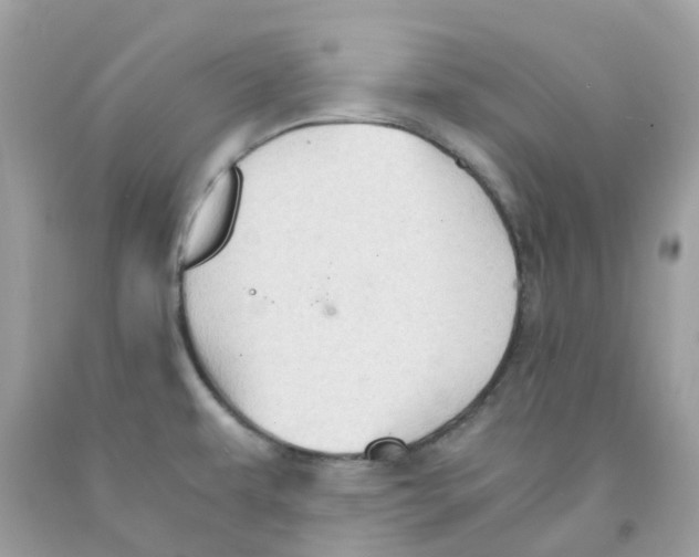 X0000091081479200709041230