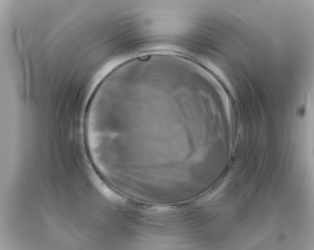 X0000091081482200709041230